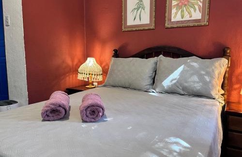 Itatiaia Chalet De Esquí | Chalé Gaia - Hospedagem Itatiaia