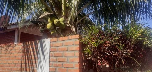 Caldas Novas Chalet De Esquí | Chalé jane