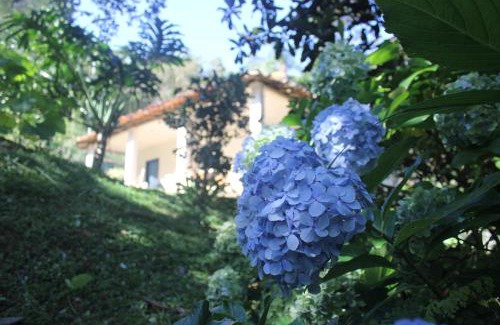Ouro Preto Cabina | Chalé na floresta com varanda