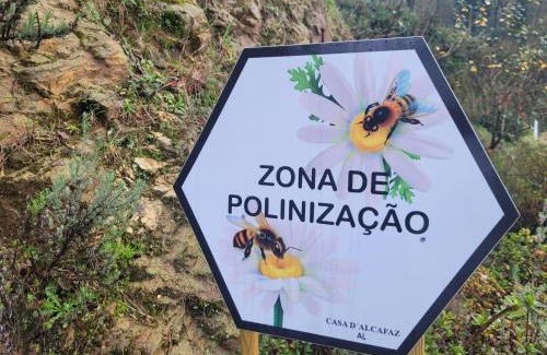 Prestimo Chalet De Esquí | CHALÉ, Pedra, Isolada, Natureza, Rio - Ecoturismo