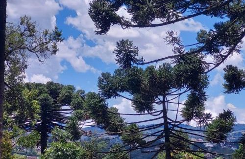 Vila Natal Chalet De Esquí | Chalé Rústico na Montanha em Campos de Jordão