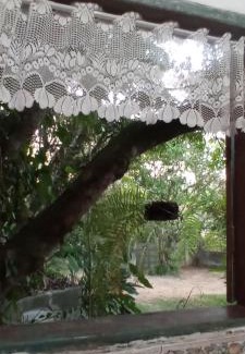 Jacarei Cama Y Desayuno | Chalé Rancho Aratama