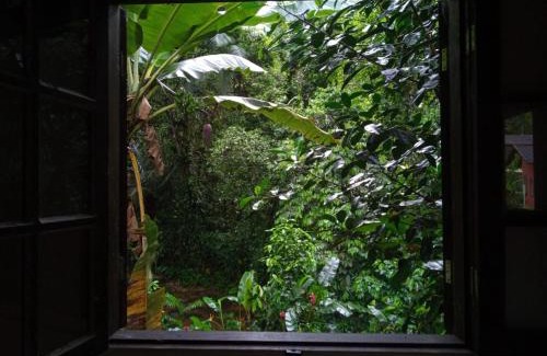 Mambucaba Chalet De Esquí | Chalé Recanto da Cachoeira
