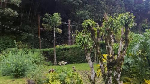 Nova Friburgo Casa | Chalé Schueler