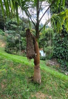 Marechal Floriano Chalet De Esquí | Chalé Vale dos Lagos