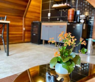 Cunha Chalet De Esquí | Chalés Fazenda Floresta das Araucárias