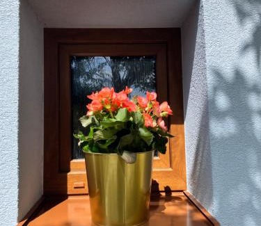 Moravske Lieskove Casa | Chalúpka pod Javorinou