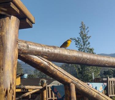 Visconde de Maua Chalet De Esquí | Chale Disco de Arado