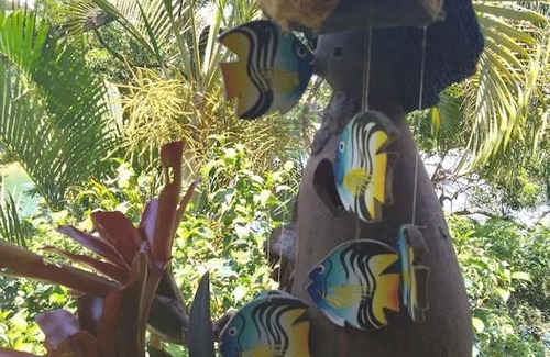 Ilha Grande Casa | chale pouso da mariposa