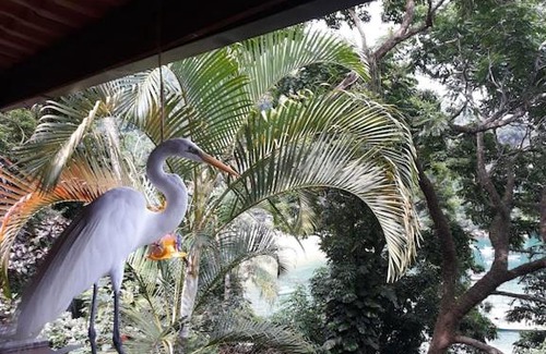 Ilha Grande Casa | chale pouso da mariposa
