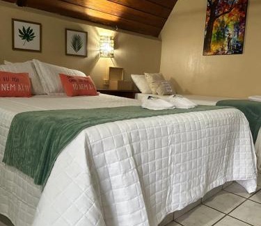 Presidente Figueiredo Chalet De Esquí | Chales Acqua park