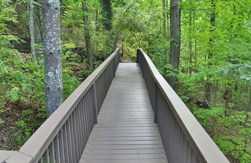 Big Canoe Chalet De Esquí | Chalet 35 - Unwind with Treetop Views, Splash at Community Pools, & Hike Trails