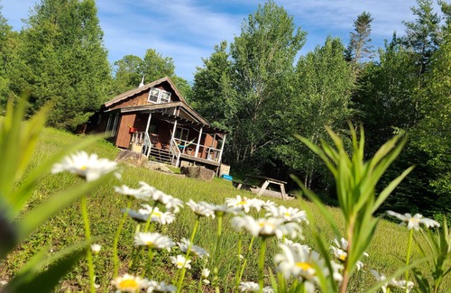 Jamaica Chalet De Esquí | Chalet 7 minutes to Ski Stratton, Woodstove, Starry Skies, FirePit, View, DogsOK