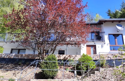 Heringhausen Apartamento | Chalet am Diemelsee vacation apartment with terrace in Sauerland Willingen Winterberg