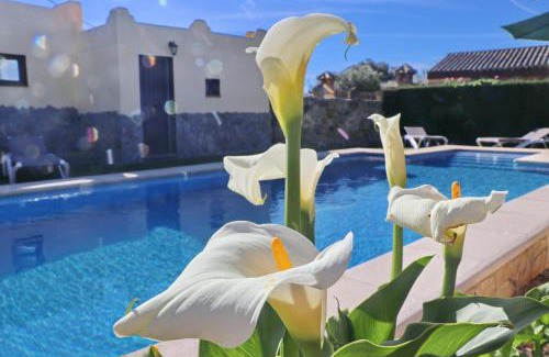Conil de la Frontera Chalet De Esquí | Chalet Bella Mendoza