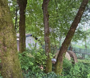 Chiavenna Rocchetta Apartamento | Chalet Bosco Magico Roccolo