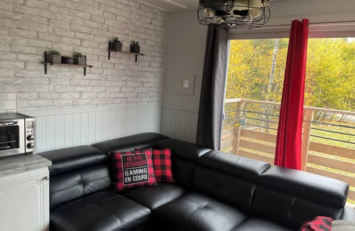 Clarke City Chalet De Esquí | Chalet chez Mayan et Doly Dogs welcome