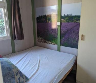L'Isle-sur-la-Sorgue Chalet De Esquí | Chalet climatisé en campagne avec baignade privée