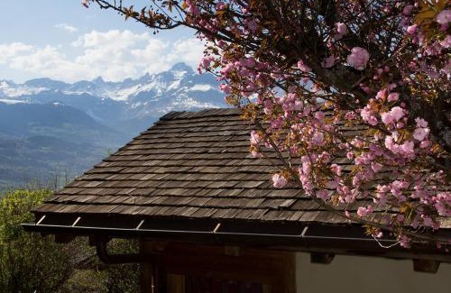 Saint-Gervais-les-Bains Chalet De Esquí | Chalet cosy proche Tramway du Mont-Blanc et centre