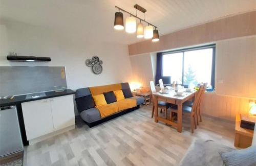 Saint-Lary-Soulan Apartamento | Chalet cosy 4 pers à 800m des pistes - TV, kitchenette équipée, navette gratuite vacances. - FR-1-457-308