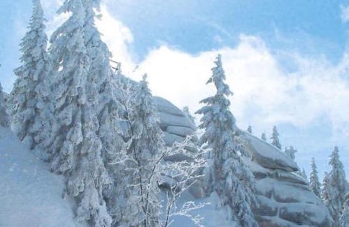 Annaberg im Lammertal Chalet De Esquí | Chalet Dachstein