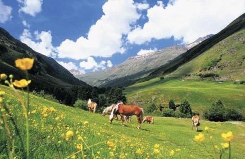 Annaberg im Lammertal Chalet De Esquí | Chalet Dachstein