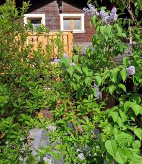 Fiesch Apartamento | Chalet-Daheim-Fiesch 3,5-Zimmerwohnung