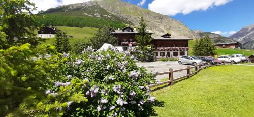 Livigno Apartamento | Chalet Del Sole per gruppi