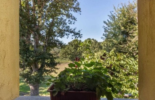 Fonni Chalet De Esquí | Chalet "Domus De Janas" (Surrounded by nature)
