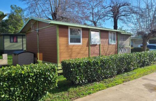 Sorbo-Ocagnano Chalet De Esquí | Chalet en bois climatisé À 300 m de la plage Marina di Sorbo 6 personnes