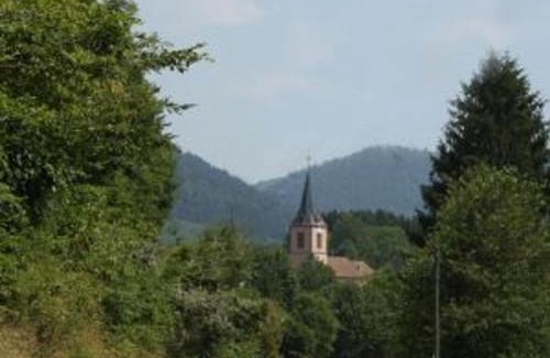 Le Saulcy Casa | Chalet en Rondins Au Cœur de la Nature avec Confort Moderne près de Strasbourg - FR-1-589-228