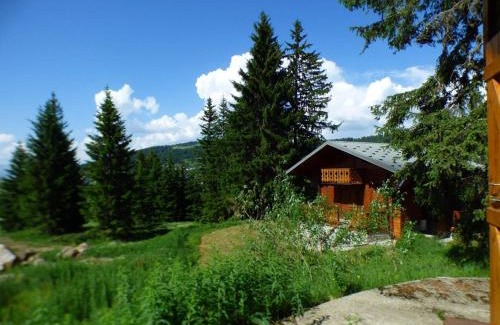 Les Saisies Chalet De Esquí | Chalet familial 4 pièces à Les Saisies, 8 pers, proche pistes, terrasse sud/ouest, en pleine nature - FR-1-594-42