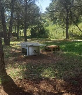 Agde Chalet De Esquí | Chalet familial entre les pins