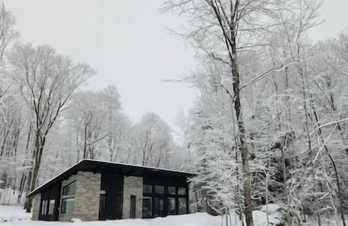 Lac Superieur Village Casa | Chalet FEU en pleine nature à Tremblant.