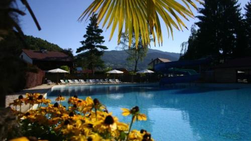 Saint-Maurice-sur-Moselle Otro | Chalet 9 personnes, piscine, terrasse