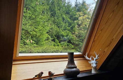 Blankenheim Chalet De Esquí | Chalet in Freilingen Blankenheim with pool and close to the lake in the middle of nature