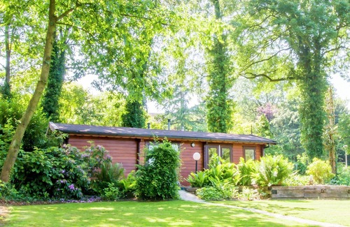 Ootmarsum Chalet De Esquí | Chalet en Overijssel con amplia terraza