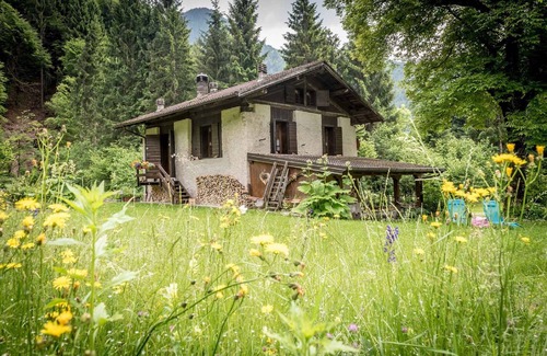 Concei Chalet De Esquí | Casa vacacional en el bosque e ideal para la desintoxicación digital