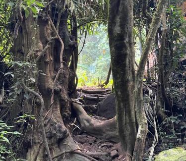 Illukkumbura Otro | Chalet in the Jungle