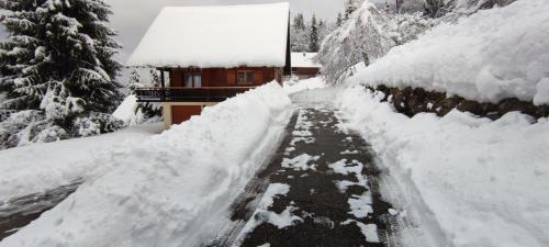Saint-Pierre-d'Entremont Chalet De Esquí | Chalet l'Alpe
