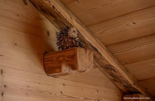 Orcieres-Merlette Apartamento | Chalet la Forestière