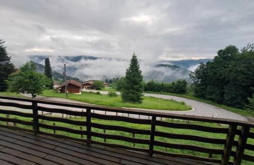 Ventron Chalet De Esquí | Chalet Le Belvédère, vue exceptionnelle dans les Hautes Vosges