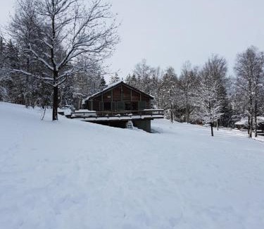 Buellingen Chalet De Esquí | Chalet Le Forestier