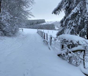 Buellingen Chalet De Esquí | Chalet Le Grand Cerf