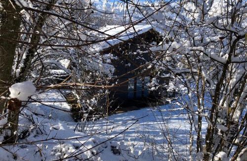Saint-Gervais-les-Bains Chalet De Esquí | Chalet Le Paddock