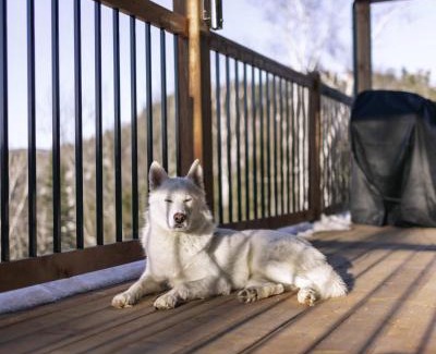 Saint Come Chalet De Esquí | Chalet le Sherpa -SPA & Billard et accès au lac