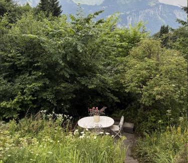 Bruenig Chalet De Esquí | Chalet Montana mit Bergblick