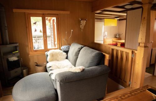 Bruenig Chalet De Esquí | Chalet Montana mit Bergblick