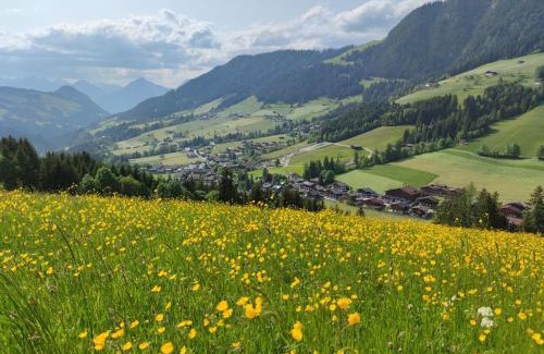 Alpbach Chalet De Esquí | Chalet Mountain View