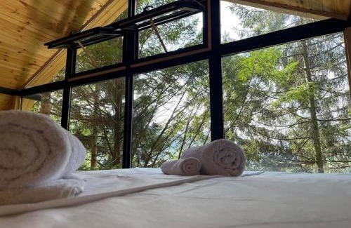 Adjara Chalet De Esquí | Chalet Nune